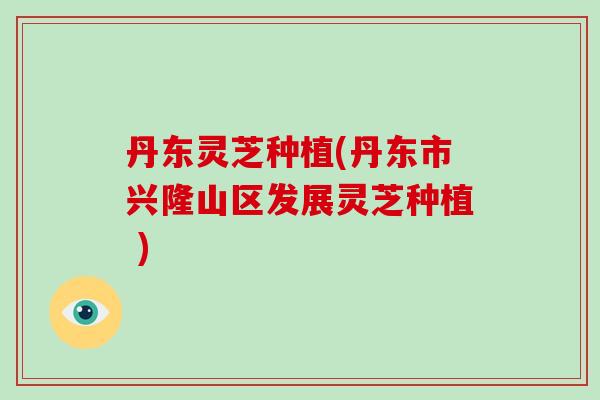 丹东灵芝种植(丹东市兴隆山区发展灵芝种植 )
