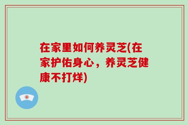 在家里如何养灵芝(在家护佑身心,养灵芝健康不打烊)
