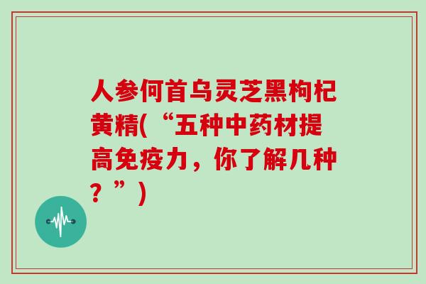人参何首乌灵芝黑枸杞黄精(“五种中药材提高免疫力,你了解几种?”)