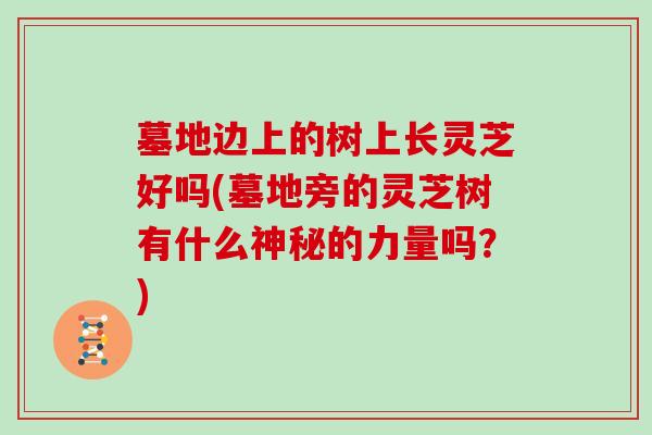 墓地边上的树上长灵芝好吗(墓地旁的灵芝树有什么神秘的力量吗?)