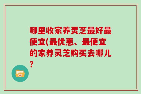 哪里收家养灵芝最好最便宜(最优惠、最便宜的家养灵芝购买去哪儿?