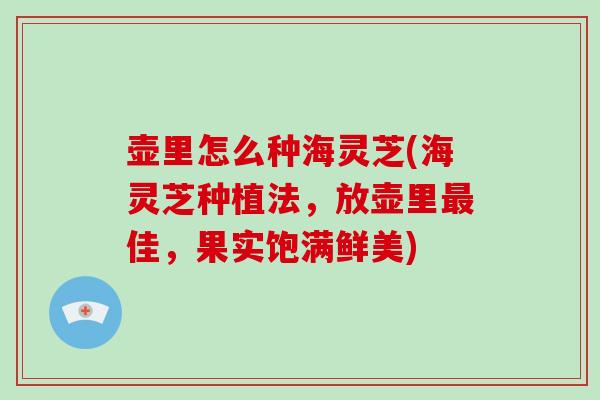 壶里怎么种海灵芝(海灵芝种植法,放壶里最佳,果实饱满鲜美)