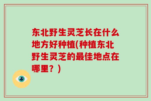 东北野生灵芝长在什么地方好种植(种植东北野生灵芝的最佳地点在哪里?)
