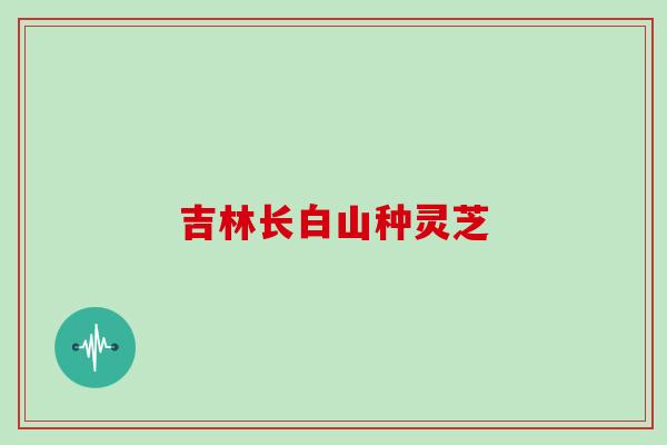 吉林长白山种灵芝