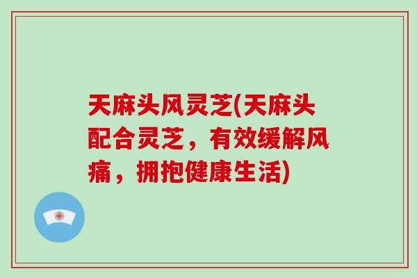 天麻头风灵芝(天麻头配合灵芝，有效缓解风痛，拥抱健康生活)