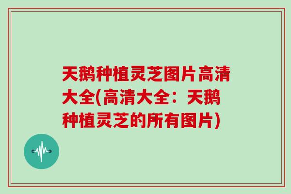 天鹅种植灵芝图片高清大全(高清大全:天鹅种植灵芝的所有图片)