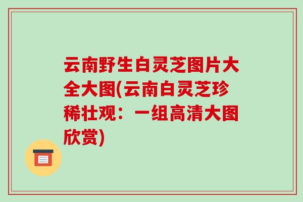 云南野生白灵芝图片大全大图(云南白灵芝珍稀壮观:一组高清大图欣赏)
