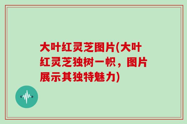 大叶红灵芝图片(大叶红灵芝独树一帜,图片展示其独特魅力)