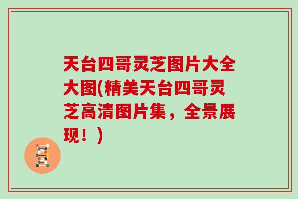 天台四哥灵芝图片大全大图(精美天台四哥灵芝高清图片集，全景展现！)