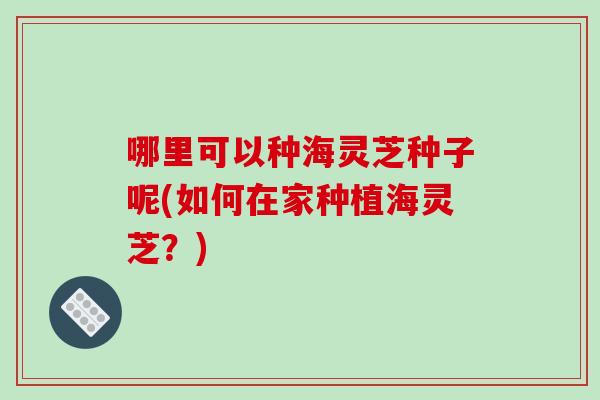 哪里可以种海灵芝种子呢(如何在家种植海灵芝?)