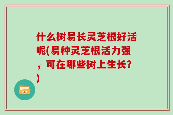 什么树易长灵芝根好活呢(易种灵芝根活力强,可在哪些树上生长?)