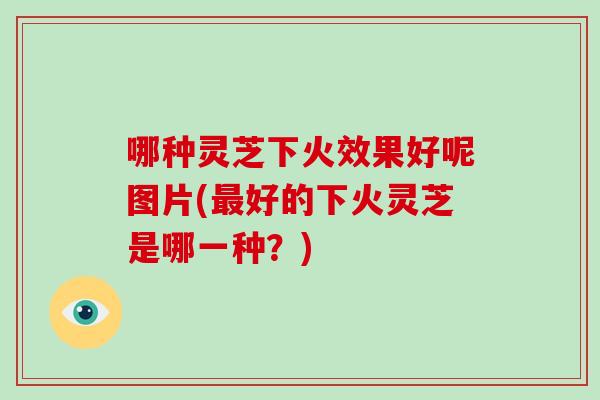 哪种灵芝下火效果好呢图片(最好的下火灵芝是哪一种？)