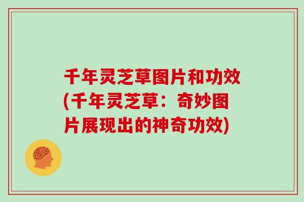 千年灵芝草图片和功效(千年灵芝草：奇妙图片展现出的神奇功效)
