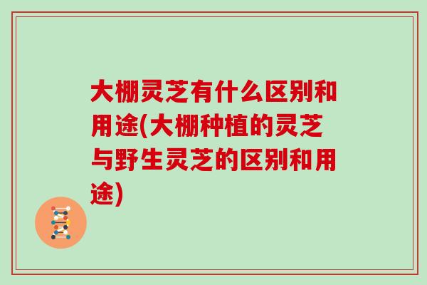 大棚灵芝有什么区别和用途(大棚种植的灵芝与野生灵芝的区别和用途)