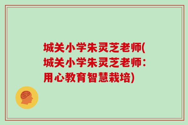 城关小学朱灵芝老师(城关小学朱灵芝老师:用心教育智慧栽培)