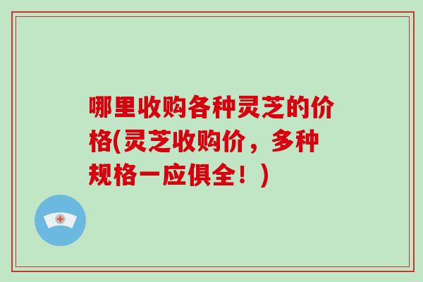 哪里收购各种灵芝的价格(灵芝收购价,多种规格一应俱全!)