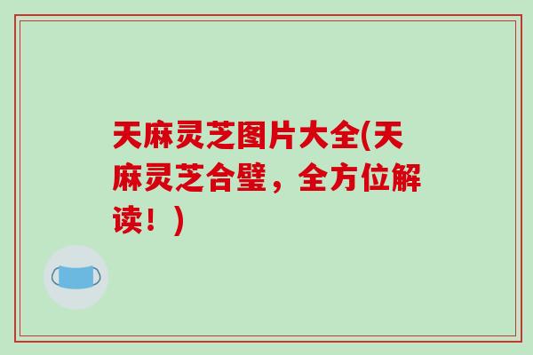 天麻灵芝图片大全(天麻灵芝合璧,全方位解读!)