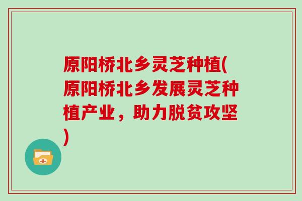 原阳桥北乡灵芝种植(原阳桥北乡发展灵芝种植产业，助力脱贫攻坚)