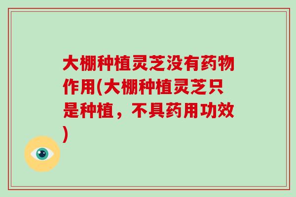 大棚种植灵芝没有药物作用(大棚种植灵芝只是种植,不具药用功效)