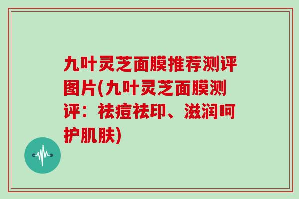 九叶灵芝面膜推荐测评图片(九叶灵芝面膜测评:祛痘祛印、滋润呵护肌肤)