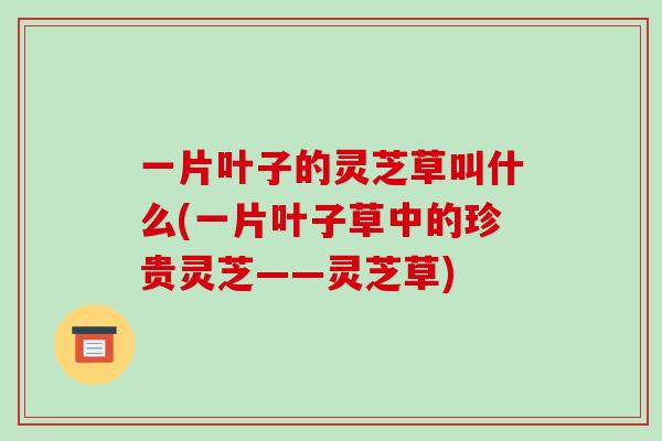 一片叶子的灵芝草叫什么(一片叶子草中的珍贵灵芝——灵芝草)