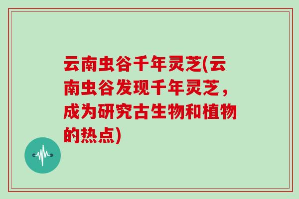云南虫谷千年灵芝(云南虫谷发现千年灵芝,成为研究古生物和植物的热点)