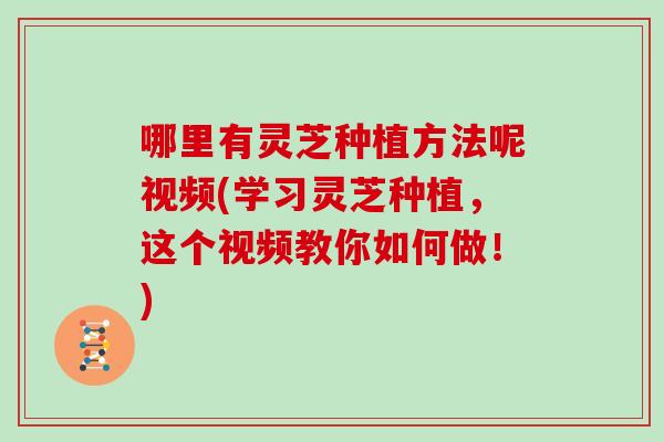 哪里有灵芝种植方法呢视频(学习灵芝种植,这个视频教你如何做!)