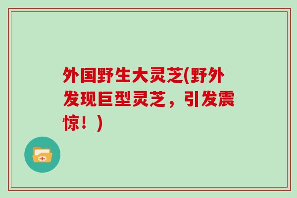 外国野生大灵芝(野外发现巨型灵芝,引发震惊!)