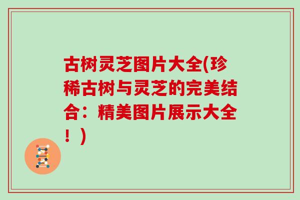古树灵芝图片大全(珍稀古树与灵芝的完美结合:精美图片展示大全!)