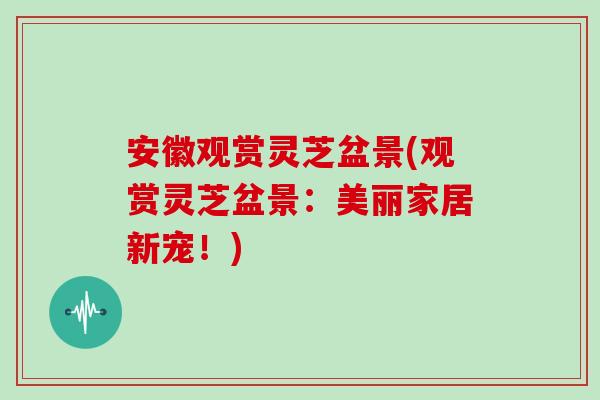 安徽观赏灵芝盆景(观赏灵芝盆景：美丽家居新宠！)
