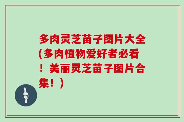 多肉灵芝苗子图片大全(多肉植物爱好者必看！美丽灵芝苗子图片合集！)