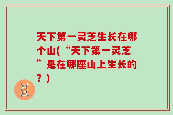 天下第一灵芝生长在哪个山(“天下第一灵芝”是在哪座山上生长的？)