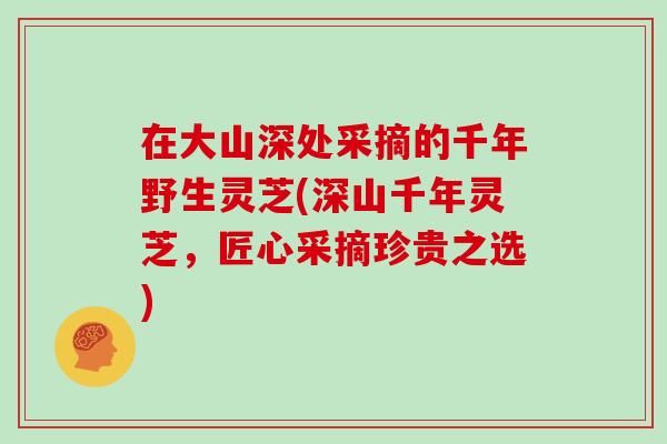 在大山深处采摘的千年野生灵芝(深山千年灵芝，匠心采摘珍贵之选)