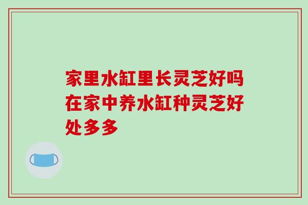 家里水缸里长灵芝好吗在家中养水缸种灵芝好处多多
