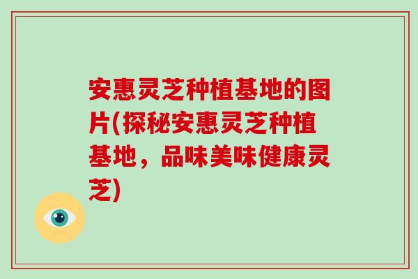 安惠灵芝种植基地的图片(探秘安惠灵芝种植基地，品味美味健康灵芝)