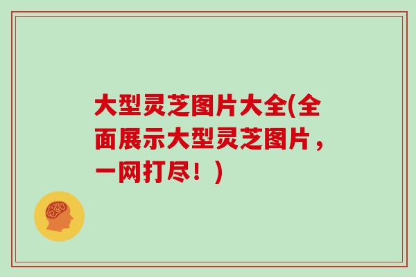 大型灵芝图片大全(全面展示大型灵芝图片，一网打尽！)