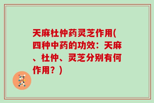 天麻杜仲药灵芝作用(四种中药的功效：天麻、杜仲、灵芝分别有何作用？)