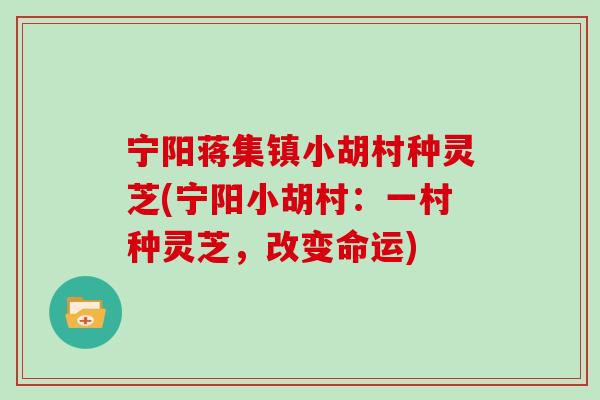 宁阳蒋集镇小胡村种灵芝(宁阳小胡村：一村种灵芝，改变命运)