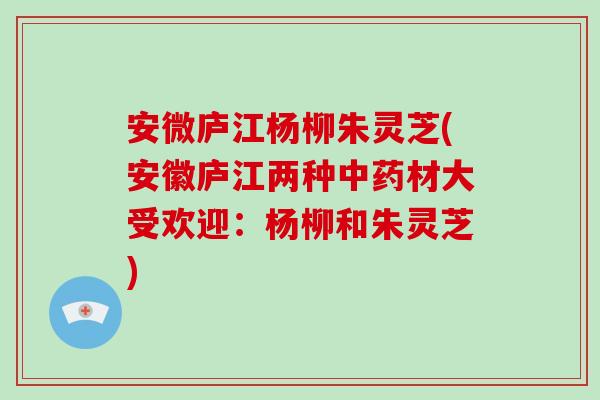 安微庐江杨柳朱灵芝(安徽庐江两种中药材大受欢迎：杨柳和朱灵芝)