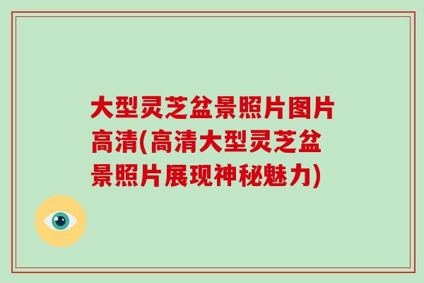大型灵芝盆景照片图片高清(高清大型灵芝盆景照片展现神秘魅力)