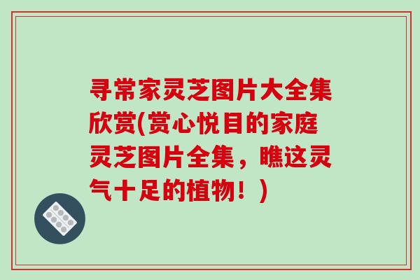 寻常家灵芝图片大全集欣赏(赏心悦目的家庭灵芝图片全集，瞧这灵气十足的植物！)