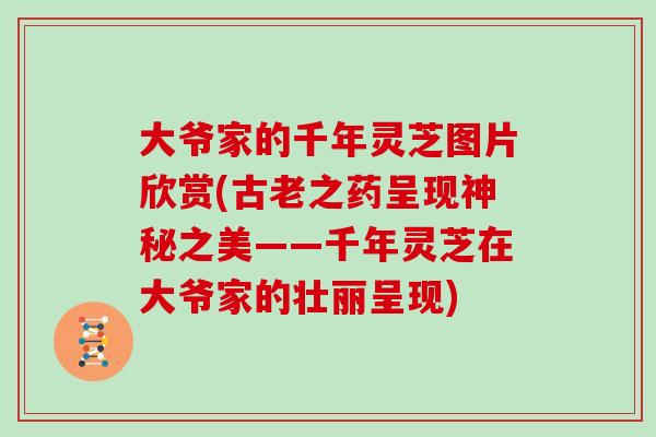 大爷家的千年灵芝图片欣赏(古老之药呈现神秘之美——千年灵芝在大爷家的壮丽呈现)