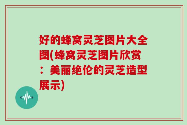好的蜂窝灵芝图片大全图(蜂窝灵芝图片欣赏：美丽绝伦的灵芝造型展示)