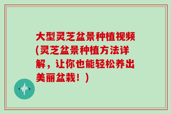 大型灵芝盆景种植视频(灵芝盆景种植方法详解，让你也能轻松养出美丽盆栽！)