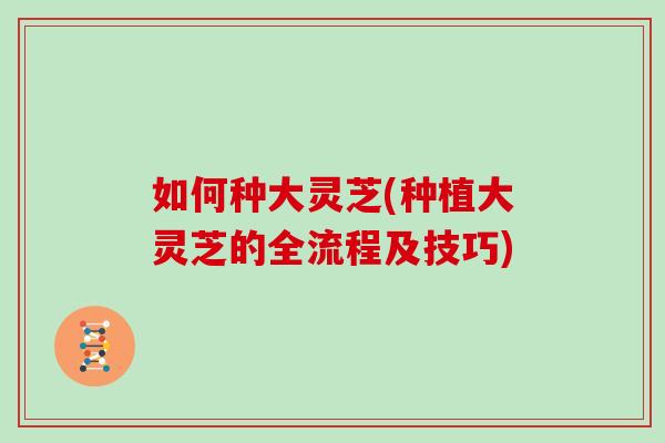 如何种大灵芝(种植大灵芝的全流程及技巧)