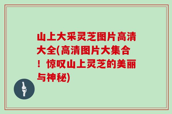 山上大采灵芝图片高清大全(高清图片大集合！惊叹山上灵芝的美丽与神秘)