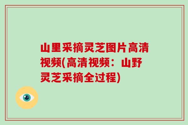 山里采摘灵芝图片高清视频(高清视频:山野灵芝采摘全过程)