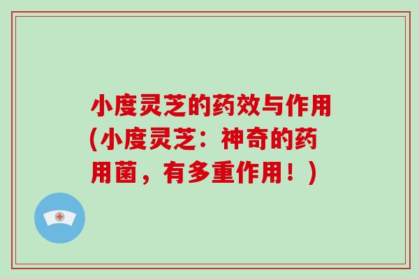 小度灵芝的药效与作用(小度灵芝：神奇的药用菌，有多重作用！)