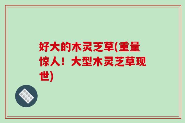 好大的木灵芝草(重量惊人！大型木灵芝草现世)