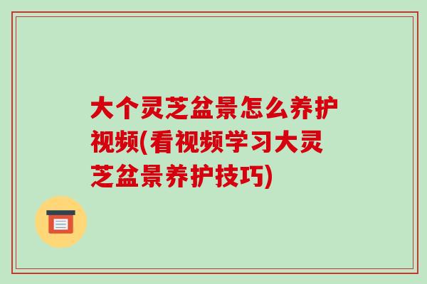 大个灵芝盆景怎么养护视频(看视频学习大灵芝盆景养护技巧)